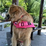 Dog Swimming Safe Jacket