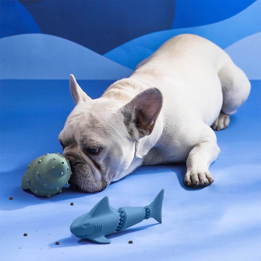 Ensemble de panier-cadeau de jouets pour chiens | Des friandises en peluche à mâcher grinçantes, des jouets interactifs