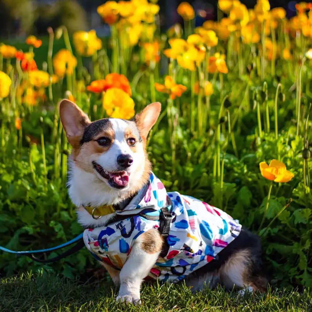 Capa de chuva reversível impermeável para cães - Graffiti e iridescente