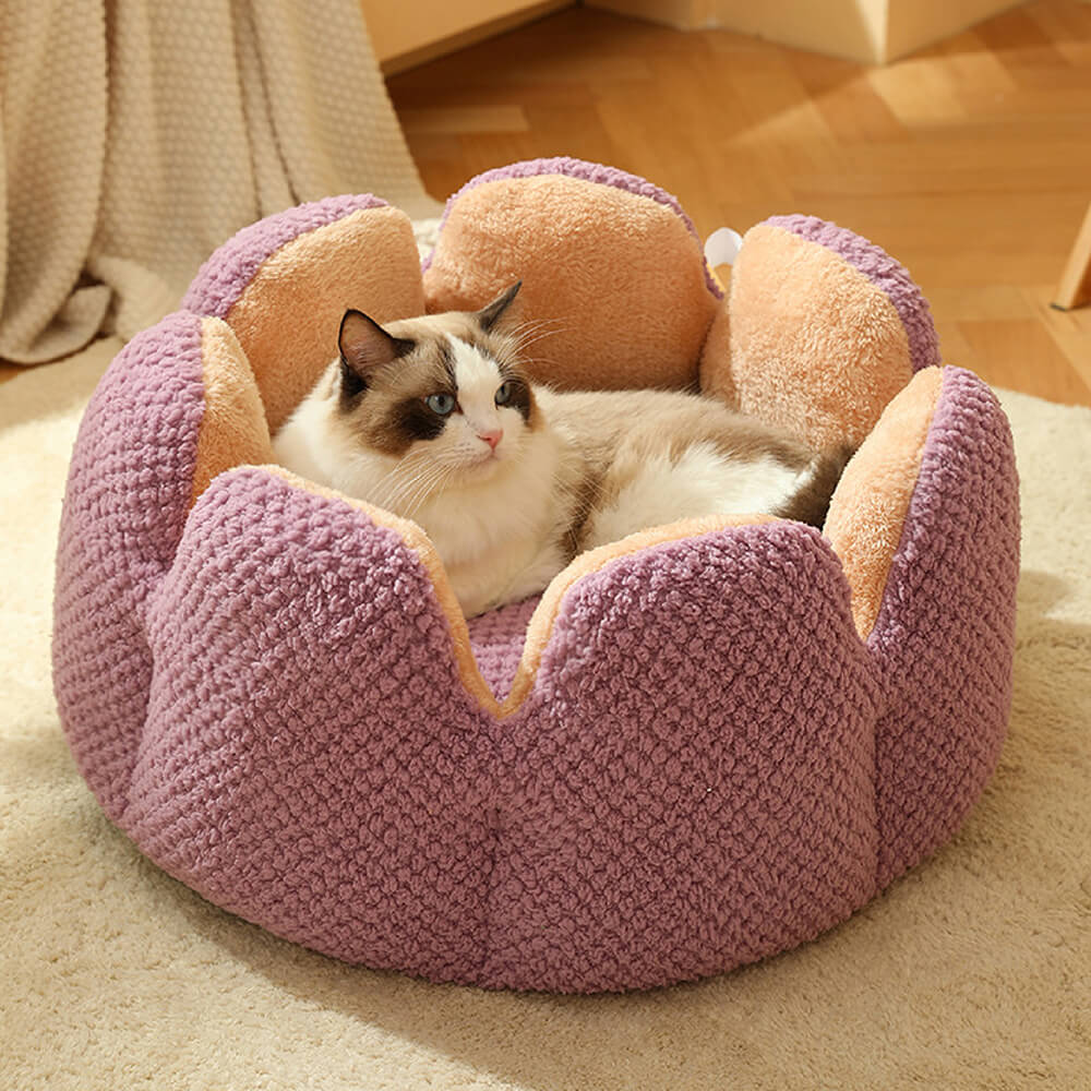 <tc>Cama cómoda para mascotas con forma de cactus</tc>