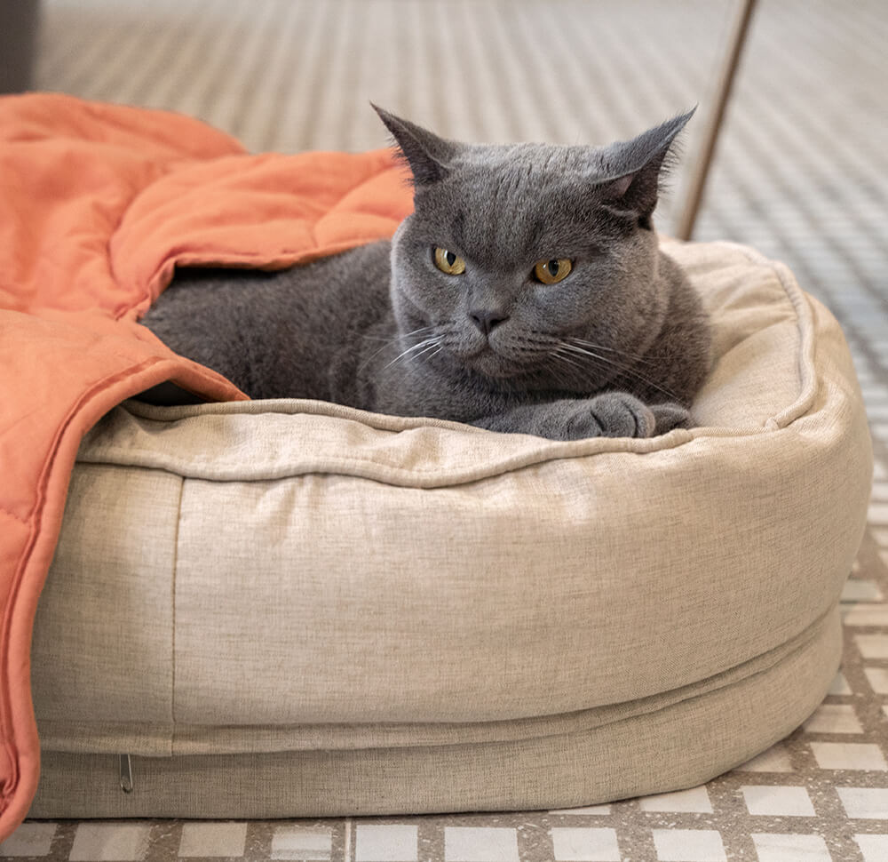 Cobertor para cachorro em formato de folha com donut, cama para cachorro, presentes luxuosos para cachorro