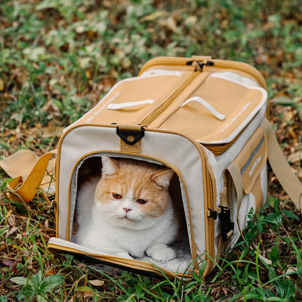 Sac de transport pour animaux de compagnie pliable et respirant