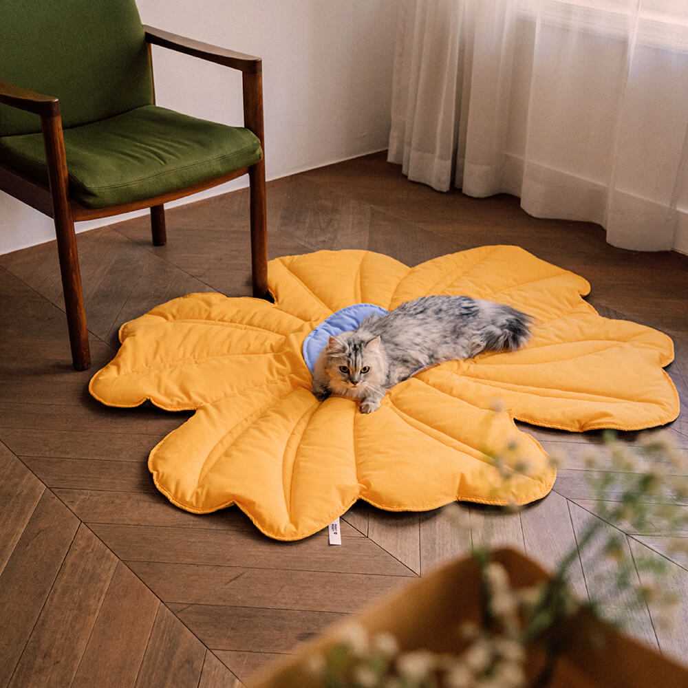 Couverture de chien de tapis humain de forme de fleur très grande