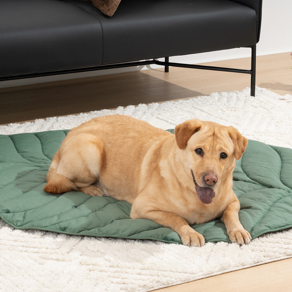 Couverture pour chien en forme de très grande feuille, tapis humain