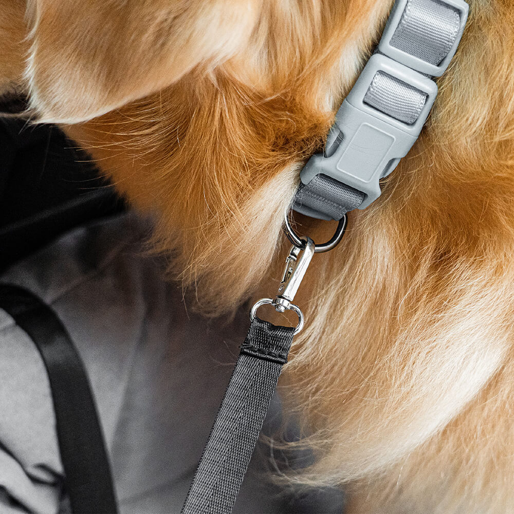 <tc>Asiento de coche para perros, asiento trasero protector para viaje - mediano y grande</tc>