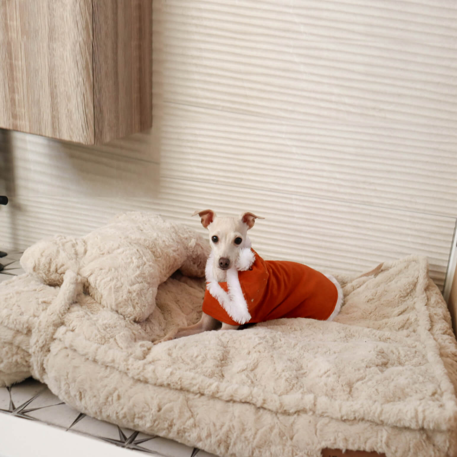 Warming Fluffy Bone Cloud Shape Calming Dog Bed