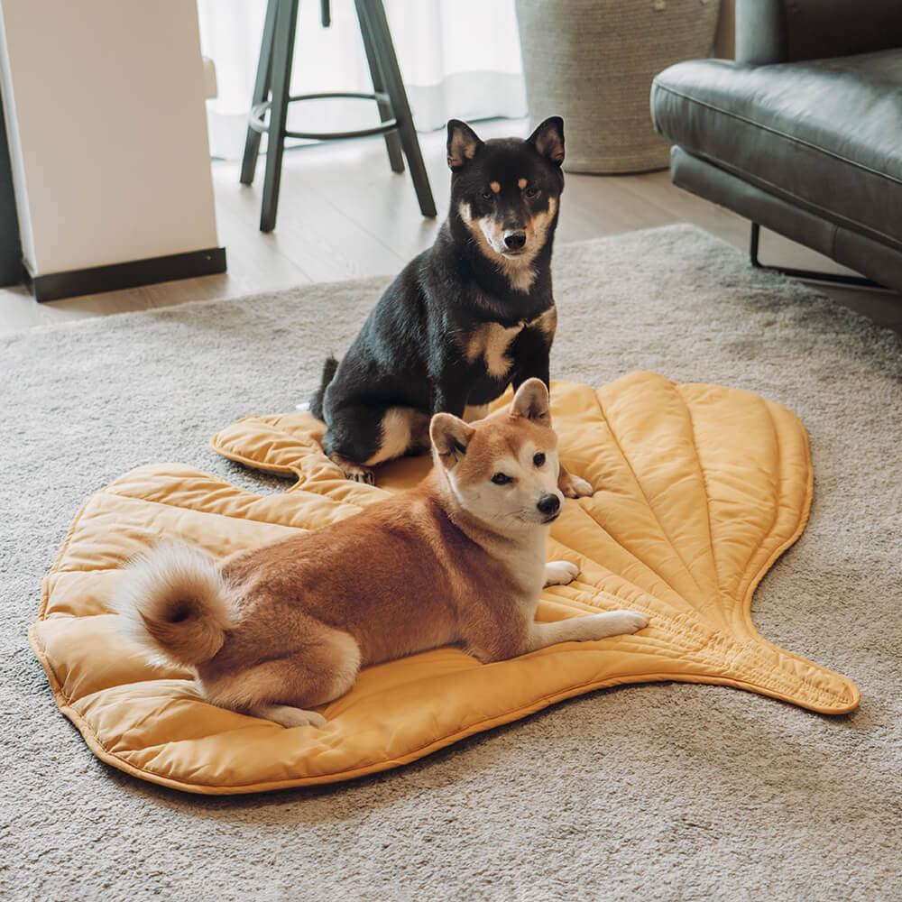 Couverture pour chien en forme de feuille