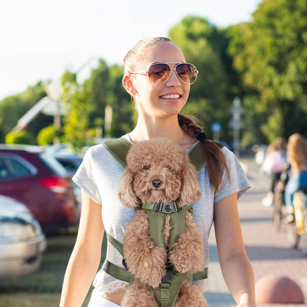 Hunde-Haustier-Tragetaschen-Rucksack – Cockpit