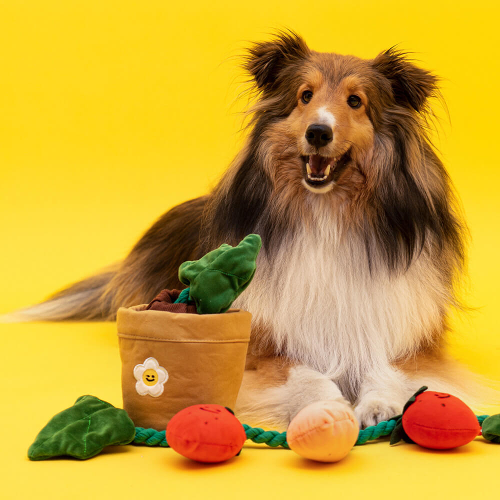 Plush Squeaky Dog Toy - Strawberry Potted