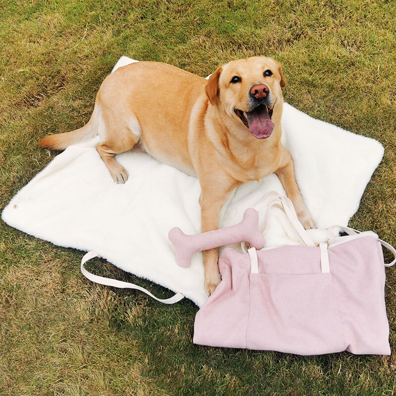 Tapis portatif pour chien