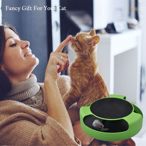 Catch Mouse Interactive Cat Toy