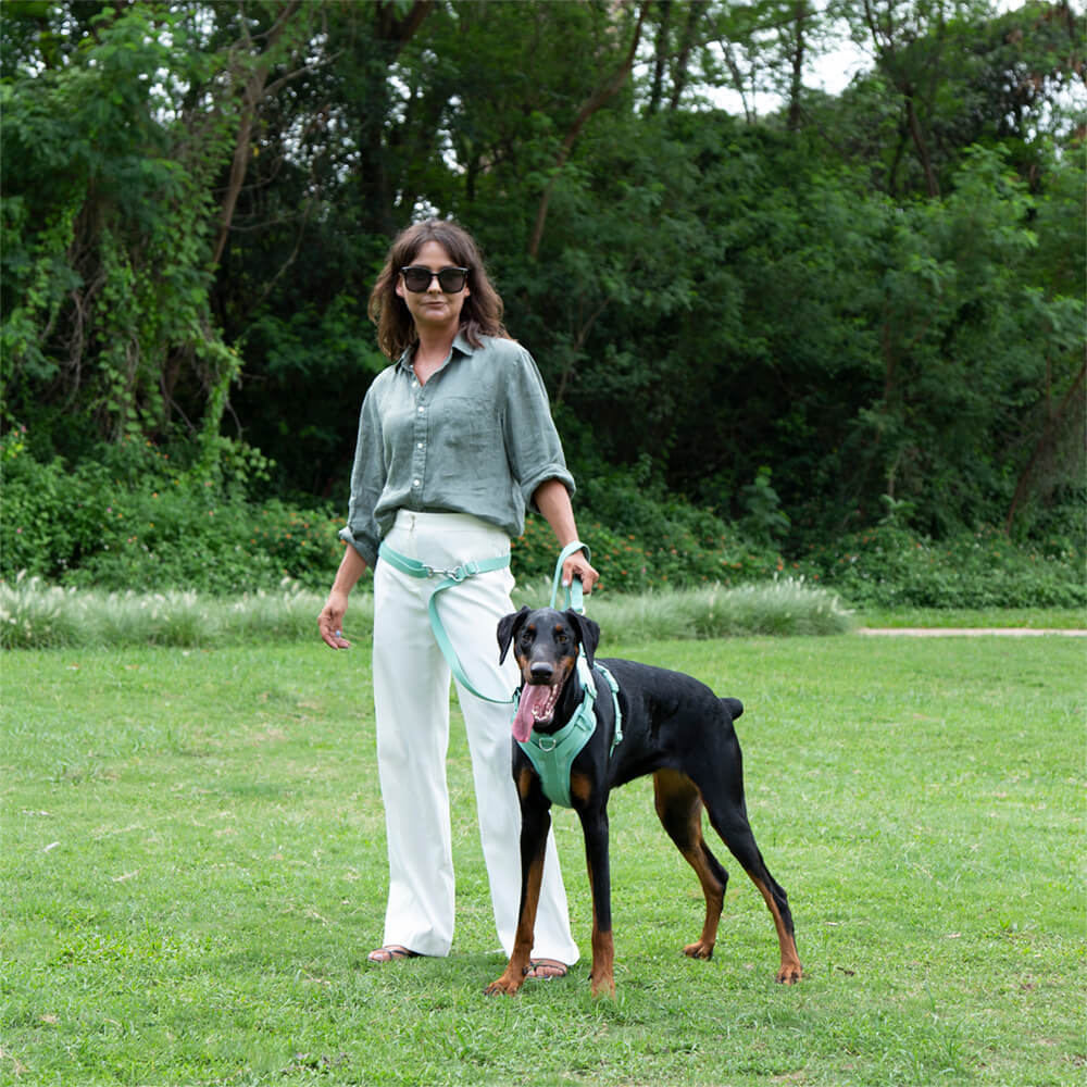 Trela ​​de goma para cachorro