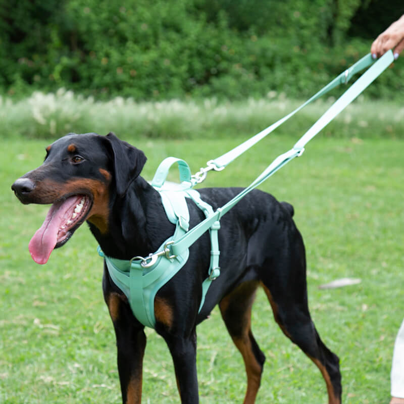 Arnês para cachorro de goma