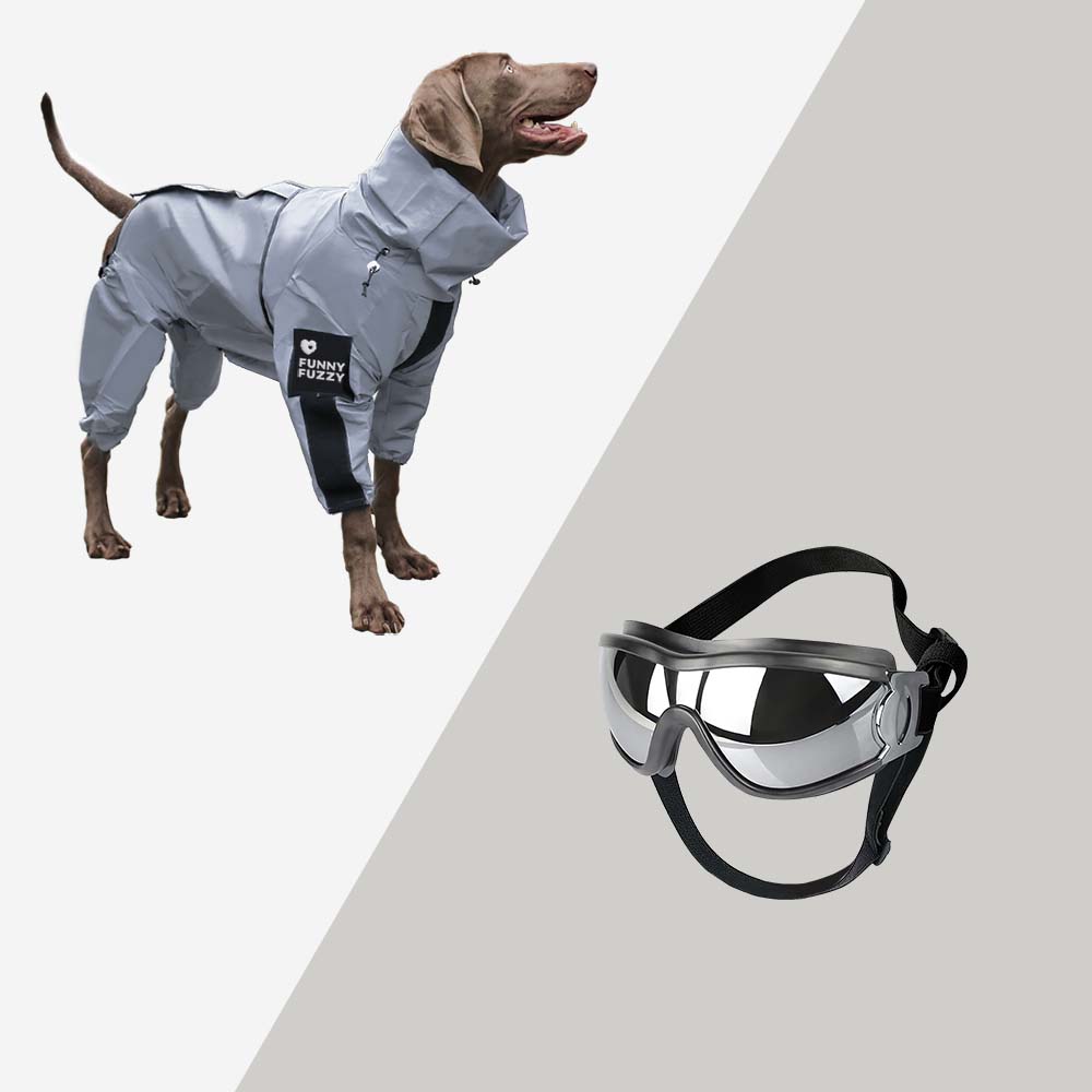 Chubasquero reflectante impermeable para todo tipo de clima, accesorios para perros geniales