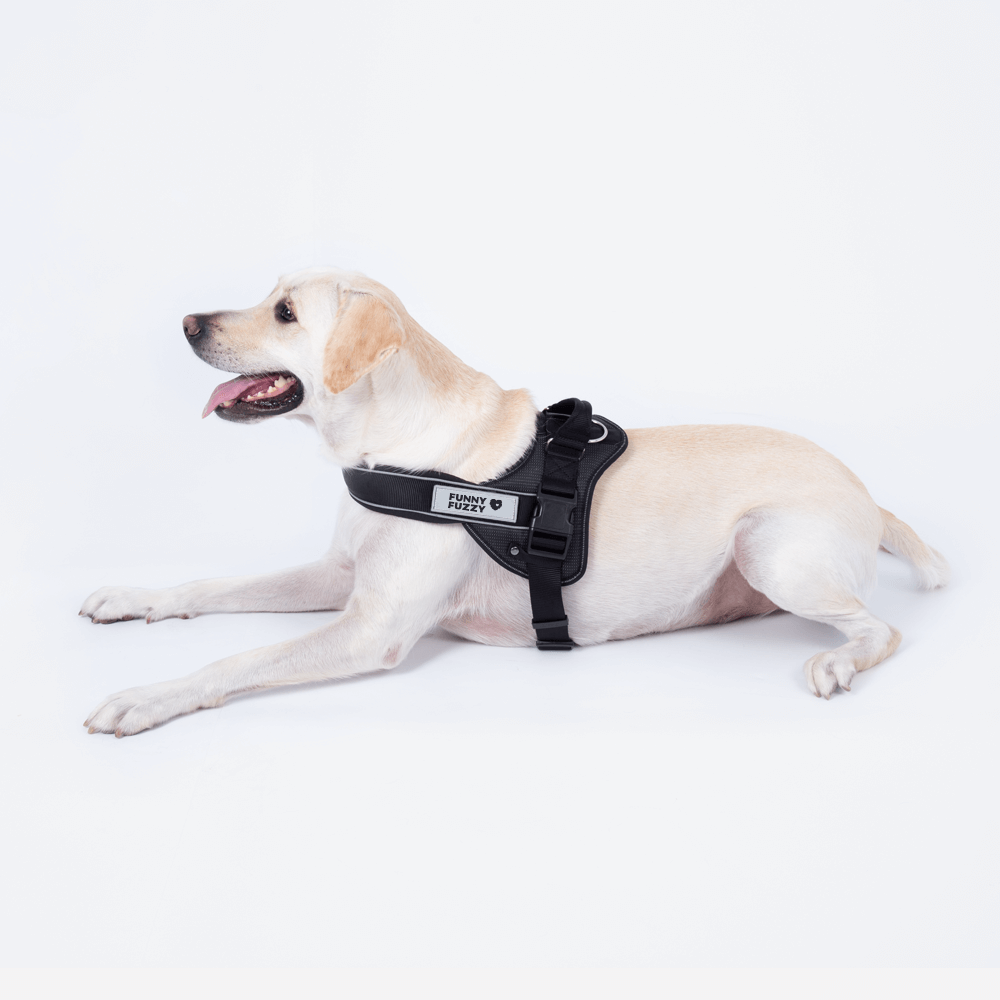 Arnês para cães fácil de usar 丨 Arnês para cães grande anti-tração para porta-malas com alça